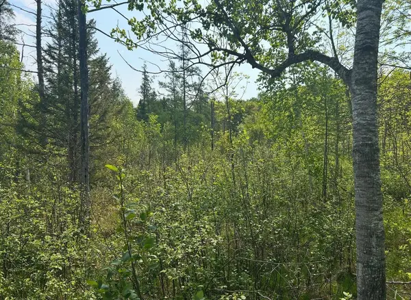 340 State 84 SW, Barclay Twp, MN 56474