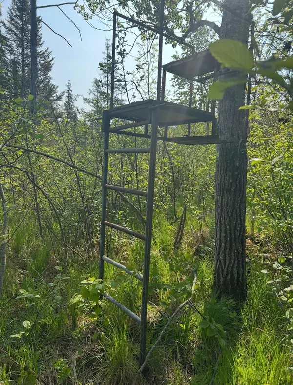 340 State 84 SW, Barclay Twp, MN 56474