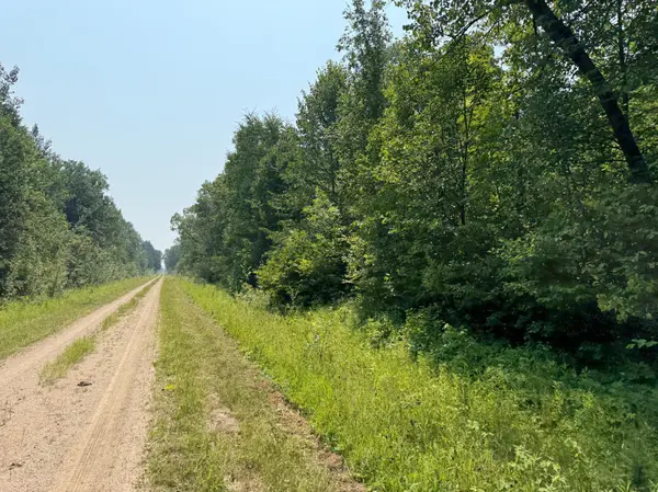 TBD 12+ Acres Ponderosa RD NE, Woodrow Twp, MN 56650