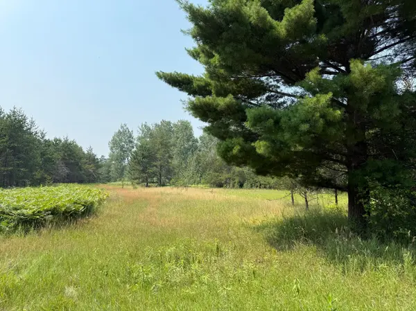 TBD 12+ Acres Ponderosa RD NE, Woodrow Twp, MN 56650