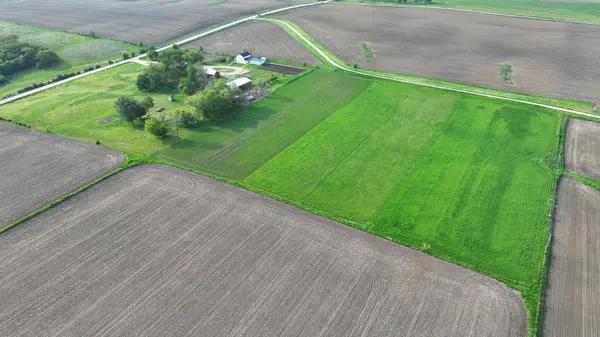 TBD 351st AVE, Amherst Twp, MN 55939