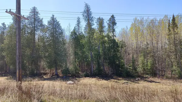 TBD4 Hwy. 115, Greenwood Twp, MN 55790