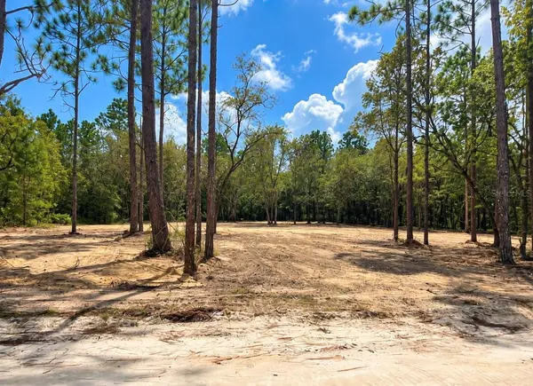 TBD NE 88TH LN, Bronson, FL 32621