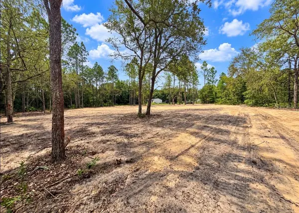 TBD NE 88TH LN, Bronson, FL 32621