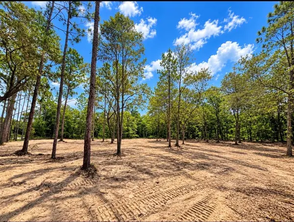 TBD NE 88TH LN, Bronson, FL 32621