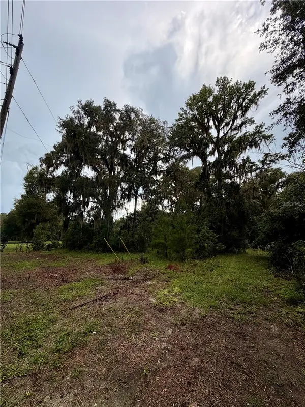 12602 SW WILLISTON RD, Micanopy, FL 32667