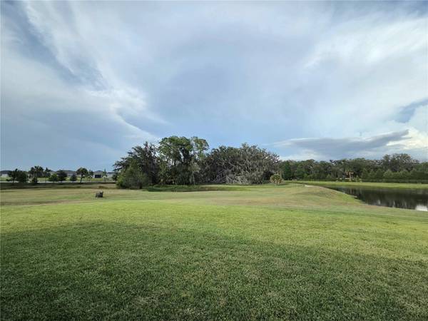 6324 165TH DR E, Parrish, FL, 34219 photo 18