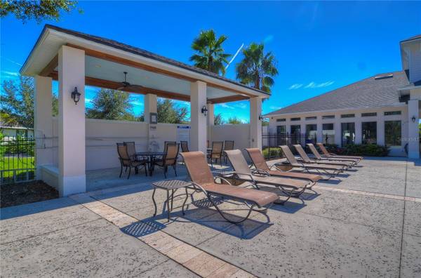 6810 MUNCASTER CT, Tampa, FL, 33625 photo 80
