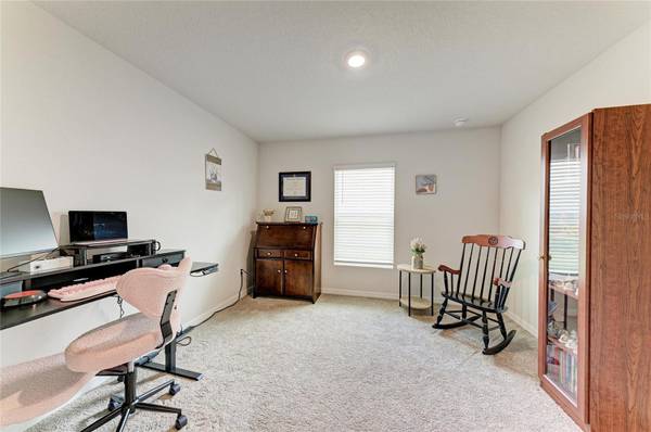 12256 MOUNTAIN ISLAND TRL, Parrish, FL, 34219 photo 22