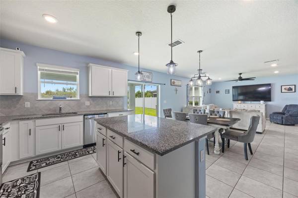1007 GOLDEN SHINER AVE, Ruskin, FL, 33570 photo 17