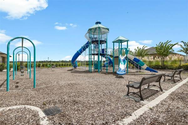 1007 GOLDEN SHINER AVE, Ruskin, FL, 33570 photo 60