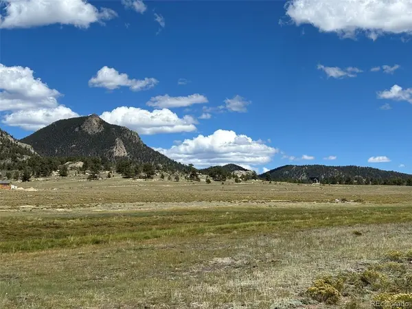 11065 Larimer, Hartsel, CO 80449