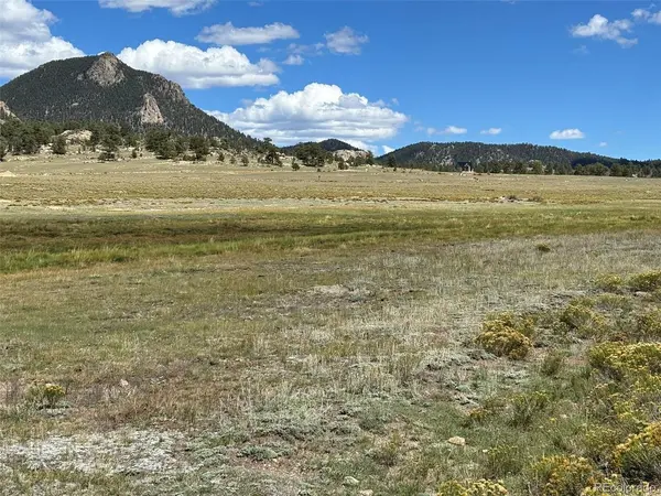 11065 Larimer, Hartsel, CO 80449