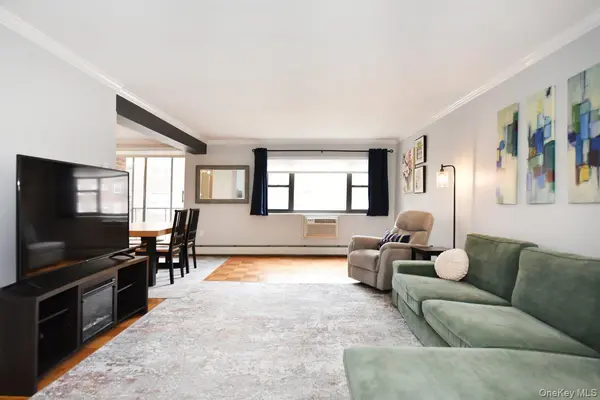 100 Clinton AVE #1F, Mineola, NY 11501