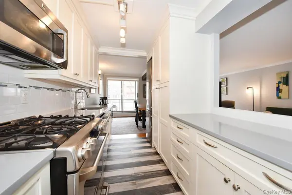 100 Clinton AVE #1F, Mineola, NY 11501