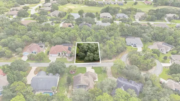 7 HONEYSUCKLE CT S, Homosassa, FL 34446