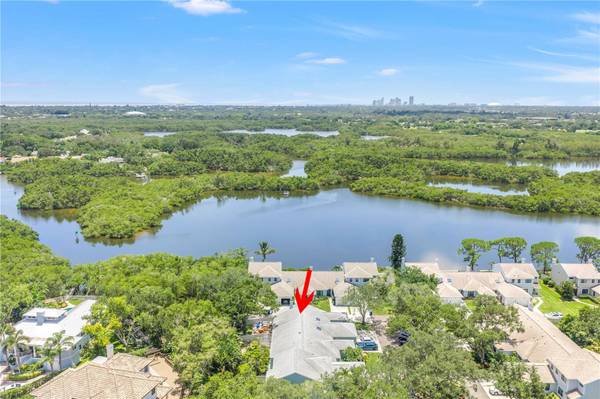1074 SANABEL CT NE, St Petersburg, FL, 33702 photo 60