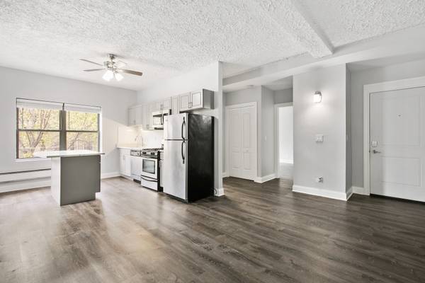 4555 N Malden ST #205, Chicago, IL 60640