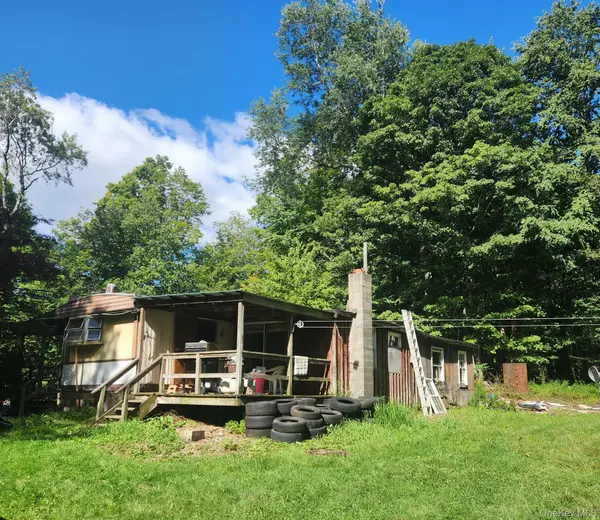 375 Aden Hill RD, Parksville, NY 12768