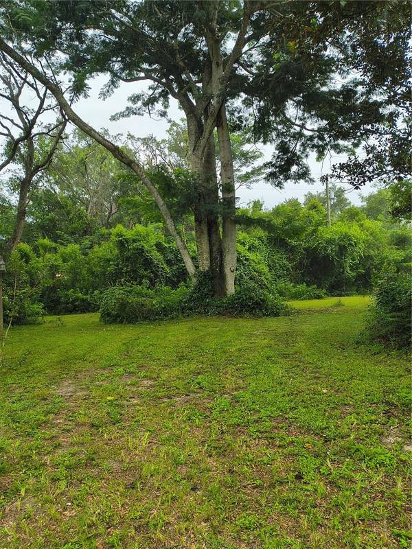 18250 CAUFIELD RD, Spring Hill, FL, 34610 photo 42