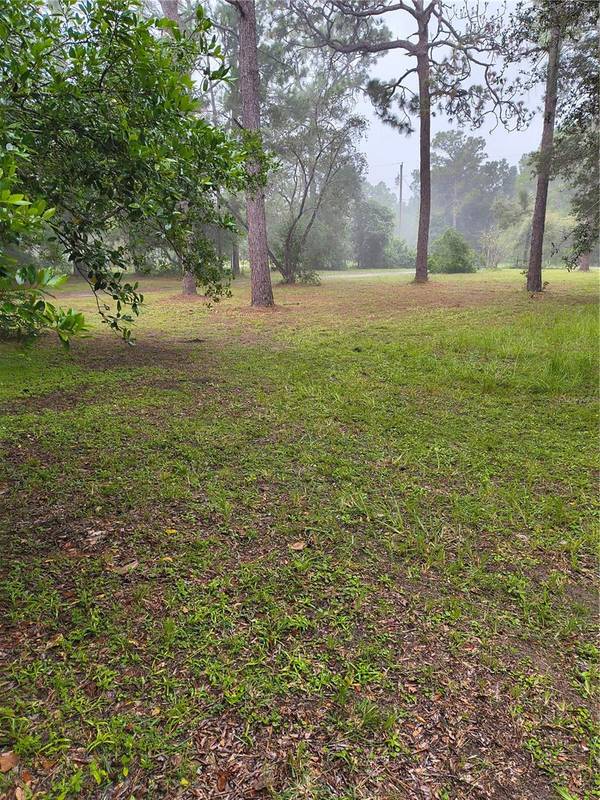 18250 CAUFIELD RD, Spring Hill, FL, 34610 photo 44