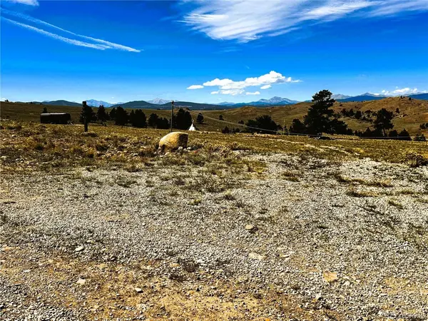 896 Guipago, Hartsel, CO 80449