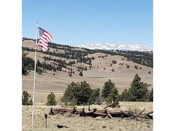 896 Guipago, Hartsel, CO 80449