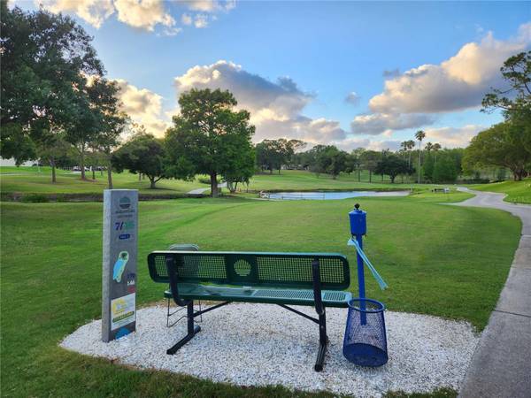 2700 NEBRASKA AVE #5-205, Palm Harbor, FL, 34684 photo 39
