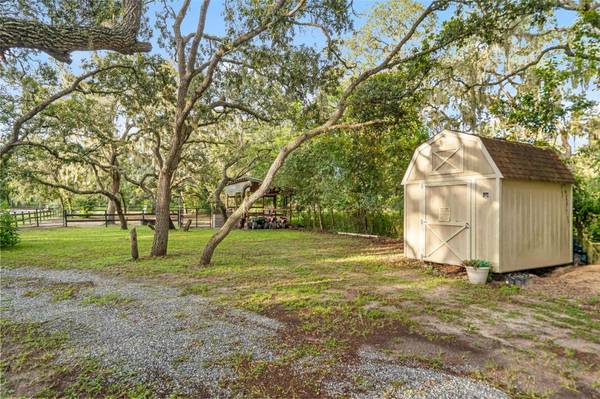 15610 COUNTRY LN, Spring Hill, FL, 34610 photo 61