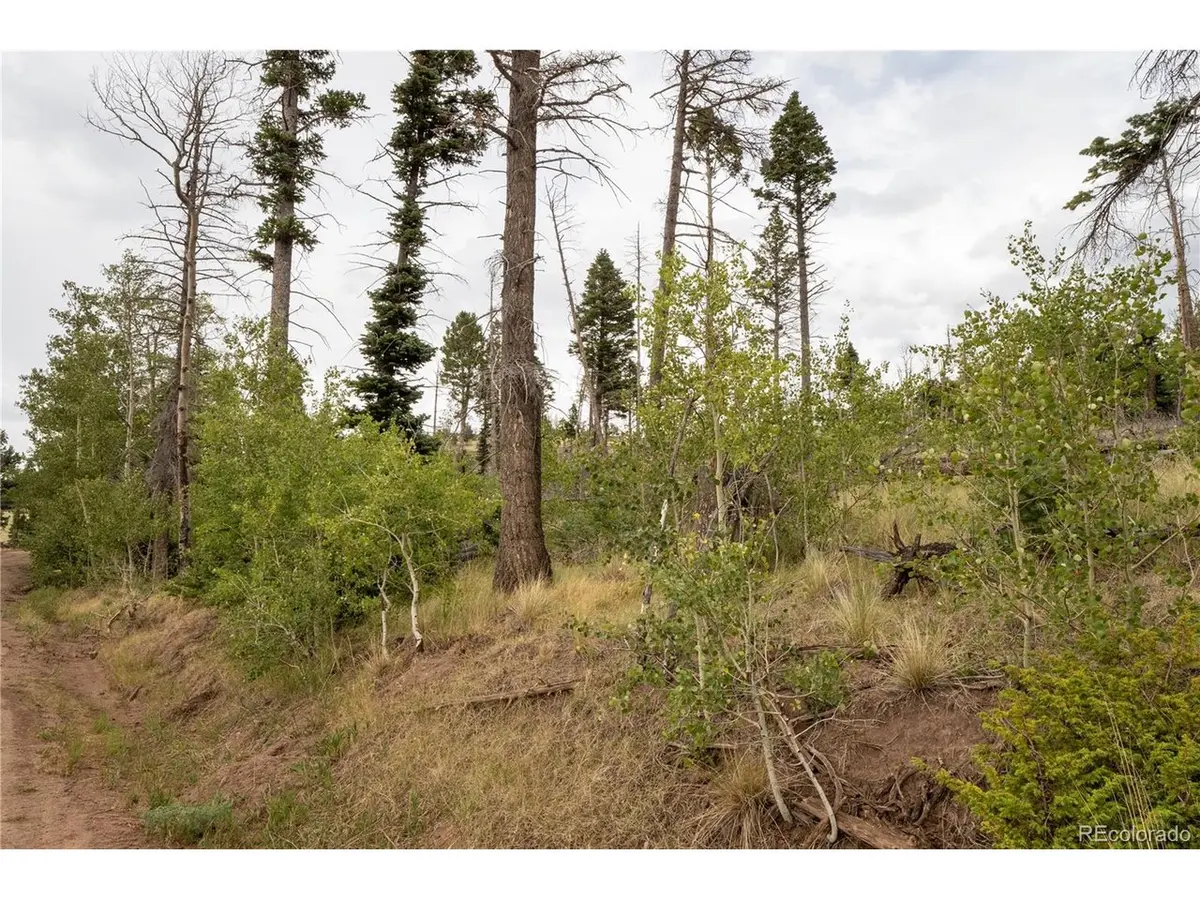 2571 Andes, Fort Garland, CO 81133