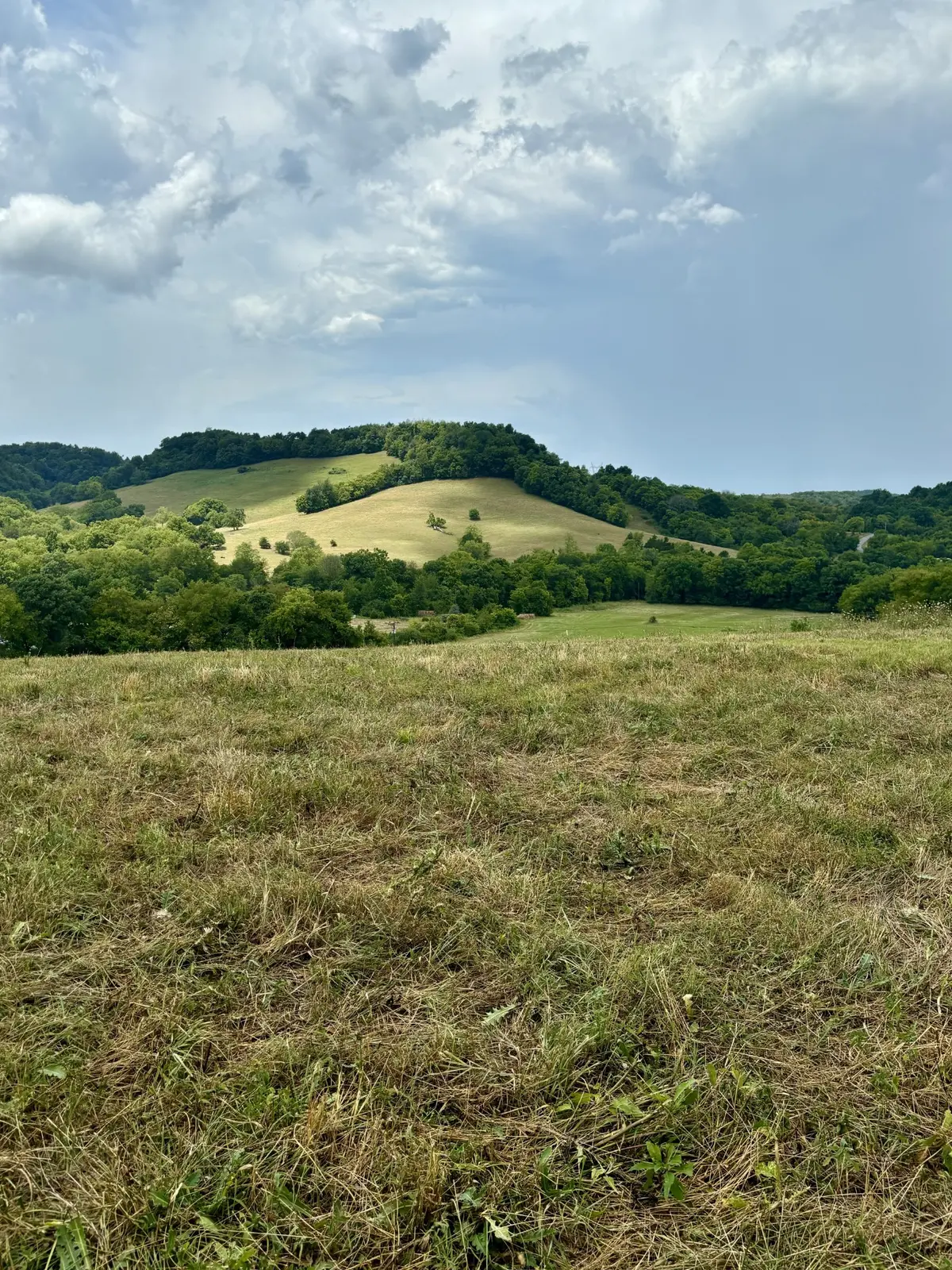 0 McLaughlin Lane, Shelbyville, TN 37160