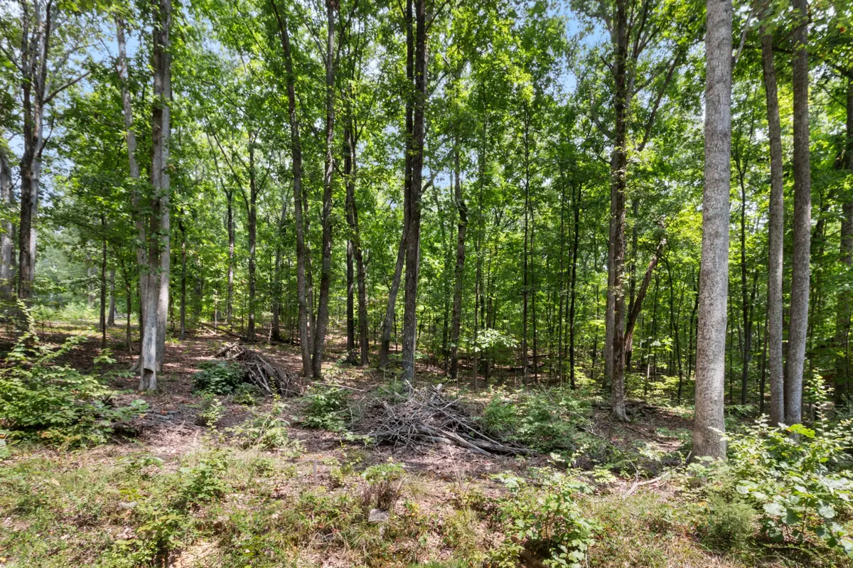 0 Eagle Shore Dr, Dover, TN 37058