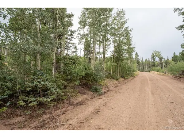 2571 Andes, Fort Garland, CO 81133