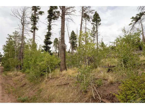 2571 Andes, Fort Garland, CO 81133