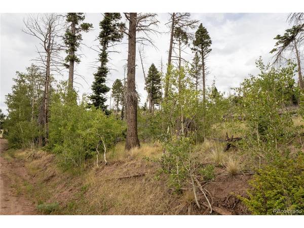 2571 Andes, Fort Garland, CO 81133