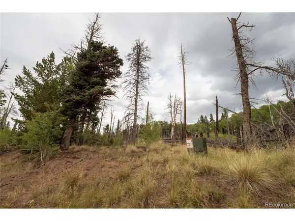 2571 Andes, Fort Garland, CO 81133