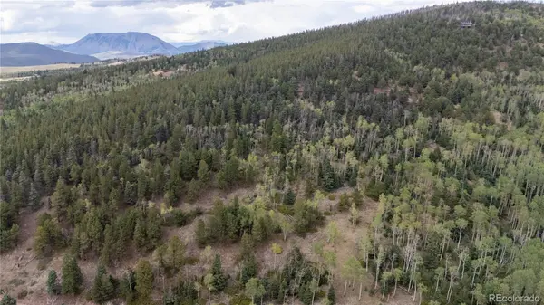 Lot 2915 Henderson DR, Fort Garland, CO 81133
