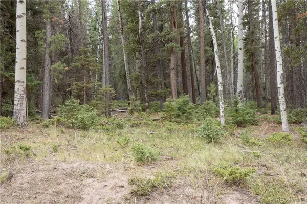 Lot 2915 Henderson DR, Fort Garland, CO 81133