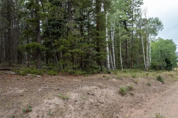 Lot 2915 Henderson DR, Fort Garland, CO 81133