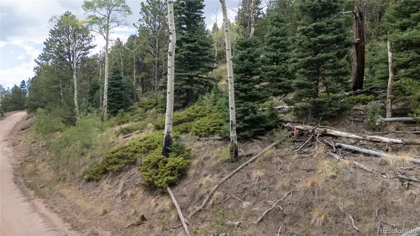 Lot 2915 Henderson DR, Fort Garland, CO 81133