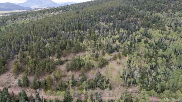 Lot 2915 Henderson DR, Fort Garland, CO 81133