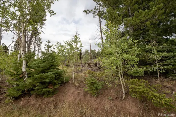 Lot 2571 Andes LOOP, Fort Garland, CO 81133