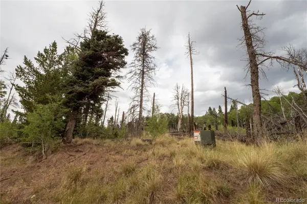 Lot 2571 Andes LOOP, Fort Garland, CO 81133