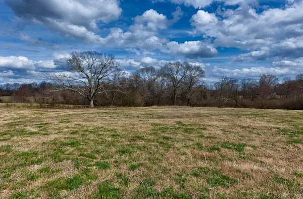 0 County Road 656, Anderson, AL 35610