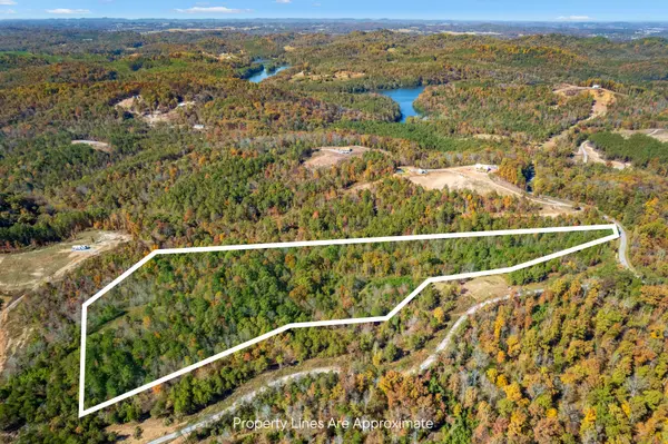 257 Bill Moser Rd Lot 11, Vonore, TN 37885