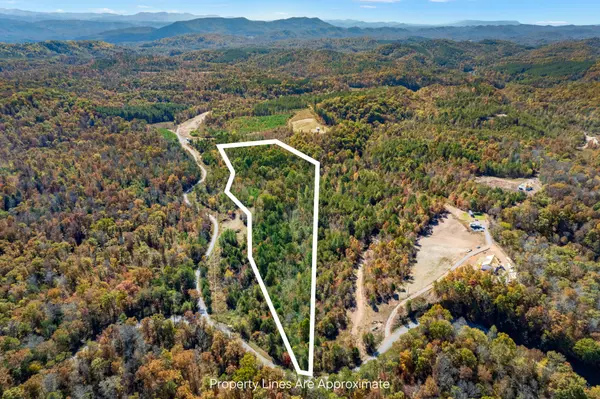 257 Bill Moser Rd Lot 11, Vonore, TN 37885