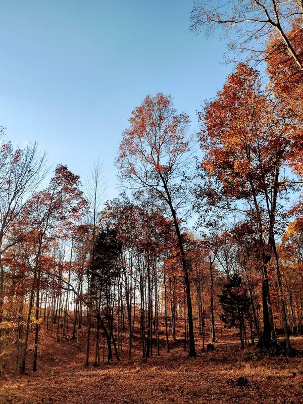 0 Waynoe Rd, Ashland City, TN 37015