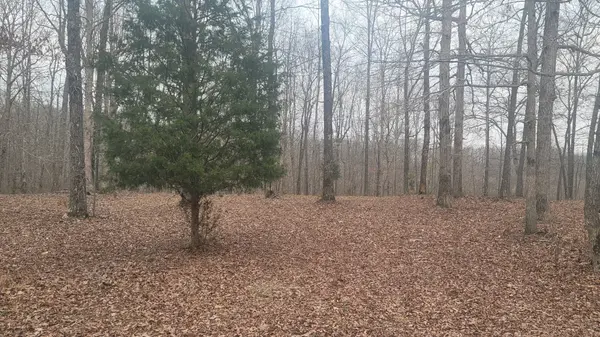 0 James Zimmerman Rd, Hampshire, TN 38461