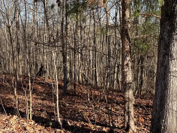 0 Cypress Road, Buchanan, TN 38222