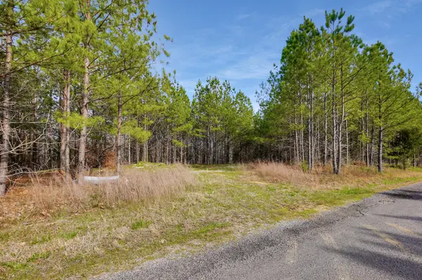 15 Ribbon Branch Road, Dover, TN 37058